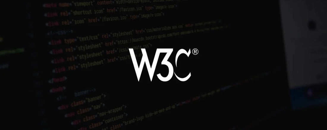 W3C Validation Scan