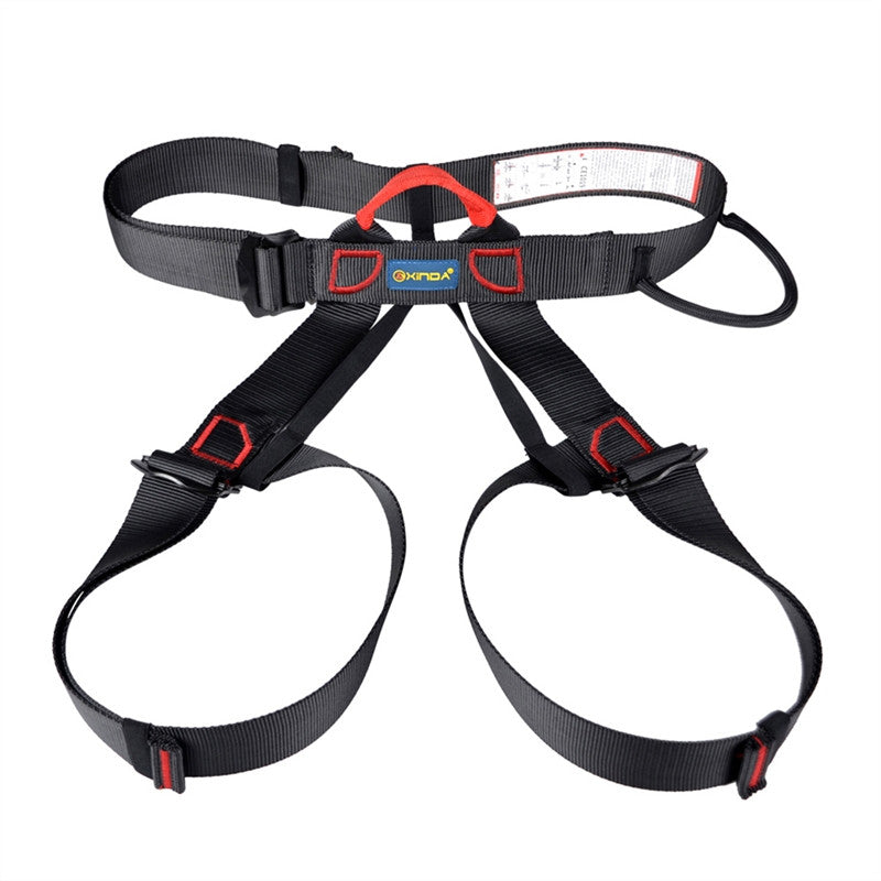 Climbing Harness